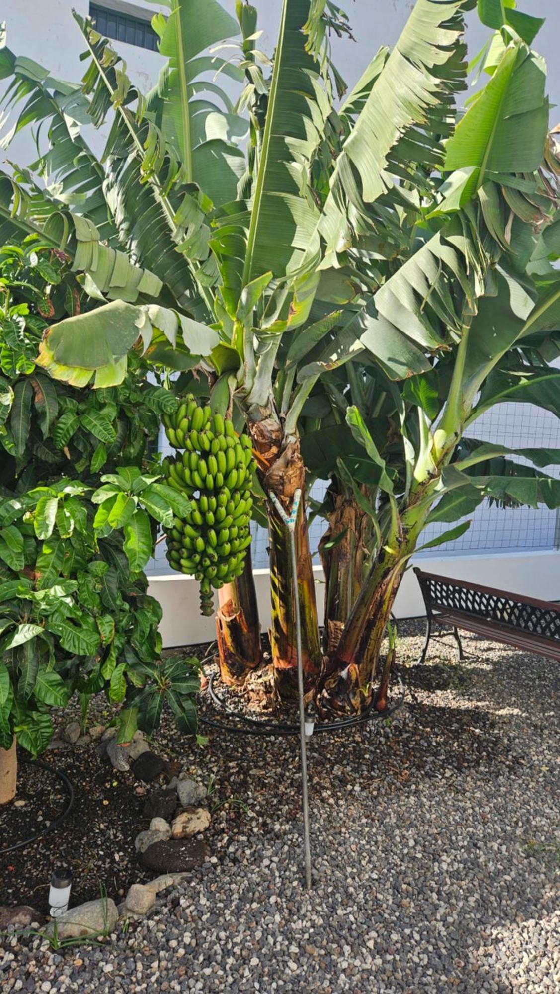 Casa Tina Villa Güimar Kültér fotó