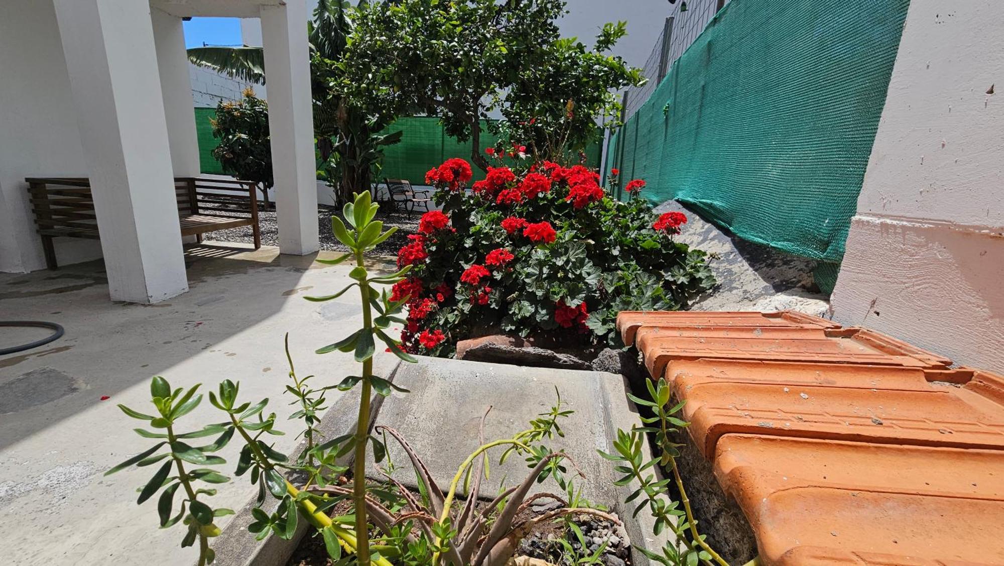 Casa Tina Villa Güimar Kültér fotó